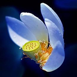 带你重温童年回忆《吉米克2》确定9月5日发售